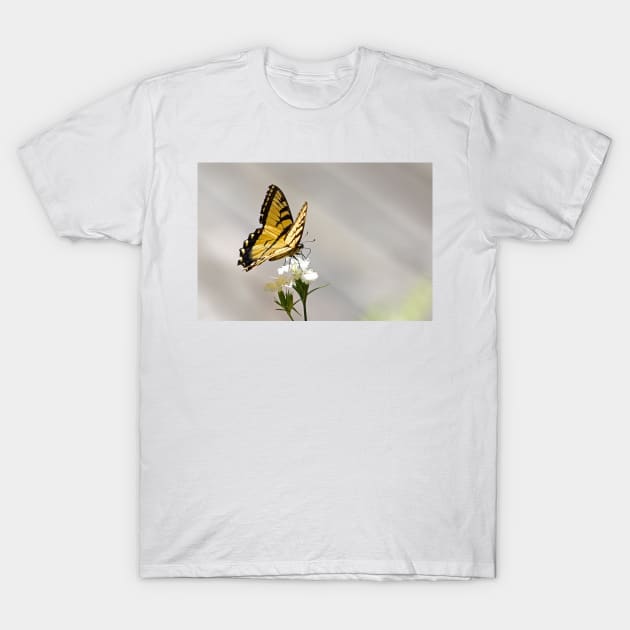 Swallowtail Butterfly T-Shirt by Jim Cumming